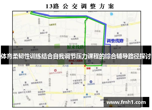体育柔韧性训练结合自我调节压力课程的综合辅导路径探讨